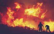 fire indenosia