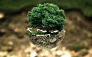 environmental protection 683437 1280