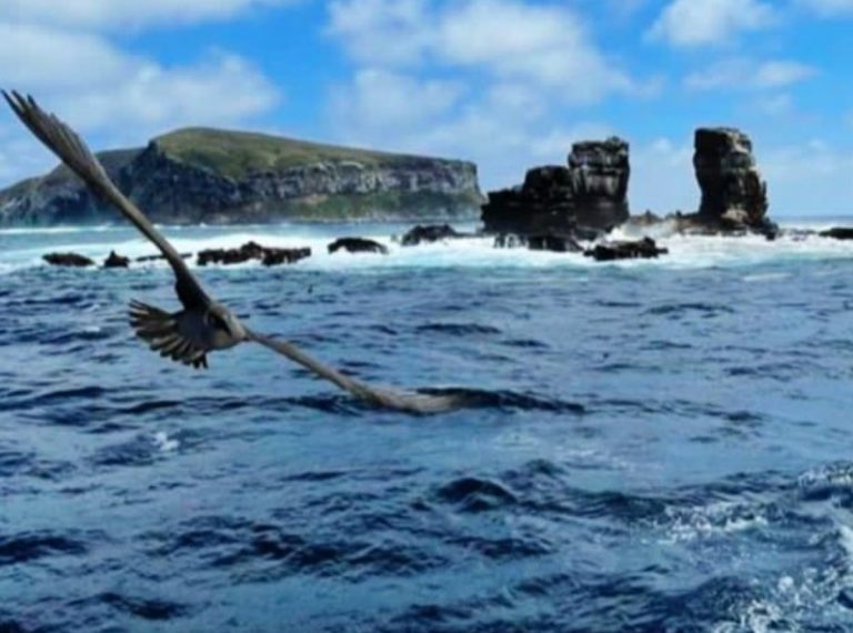 Off the Galapagos: the collapse of Darwins Arch