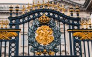 pexels romao 1560102