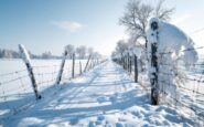 Highland League matches postponed due to severe weather