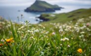 Ricerca in corso per un adolescente scomparso a Stornoway