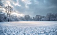 Football match affected by Storm Bert in Scotland