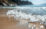 Partecipanti al nuoto annuale di Fraserburgh in mare freddo