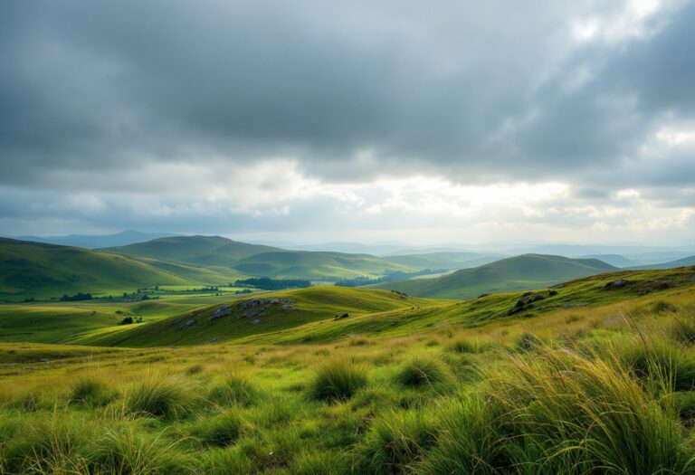 Overview of Scotland's economy in 2024