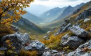 Search operation for missing man in the Scottish Highlands