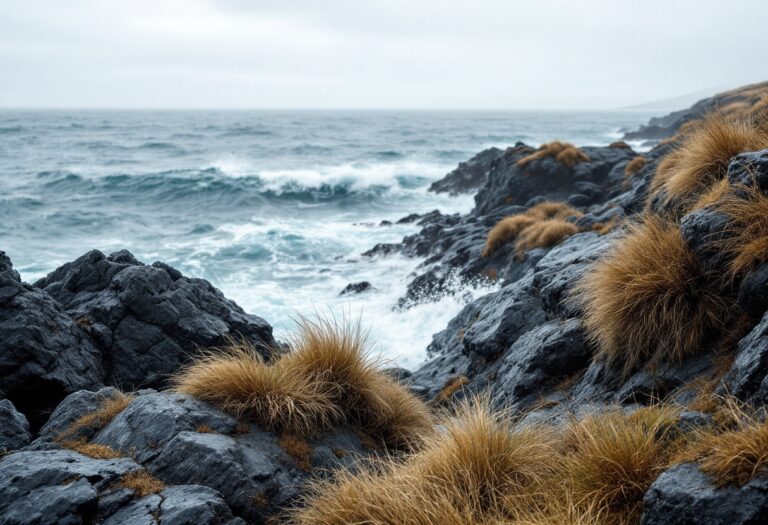 Search operation for missing man in Shetland Islands