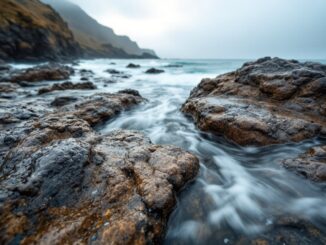 Immagine della ricerca delle sorelle scomparse ad Aberdeen