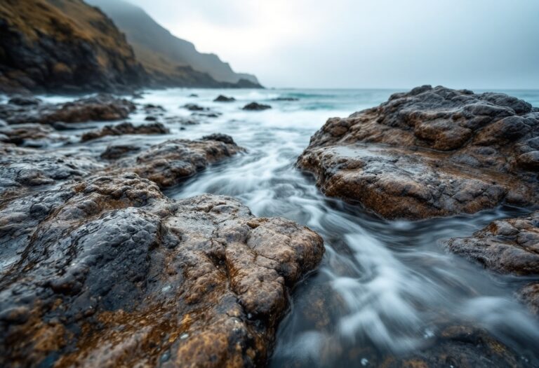 Immagine della ricerca delle sorelle scomparse ad Aberdeen