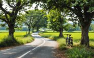 Famiglia di ciclista riceve compensazione dopo tragedia