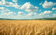 Farmers rally against inheritance tax changes in the UK