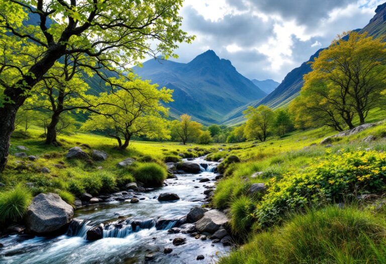 Visitors expressing concerns over alcohol in Glen Etive