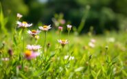 Recent news highlights from the East of England region