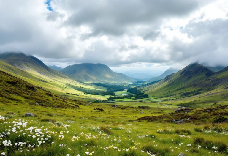 Helicopters flying over Aberdeenshire landscape