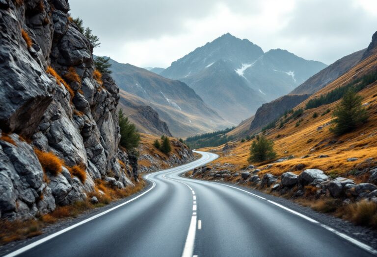 A road trip symbolizing resilience and entrepreneurship