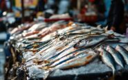 Delicious seafood dishes from Aberdeen restaurants