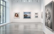 Gallery showcasing stunning photography from contributors