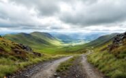 Consultants empowering businesses in the Highlands