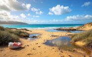 Motorhome waste dumping issue at a West Coast beach
