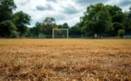 Gordonians Cricket Club faces challenges after wicket removal