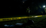 cambridge language school student killed two arrests made python 1754215387