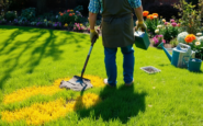 effective solutions to restore your lawns beauty python 1756207166
