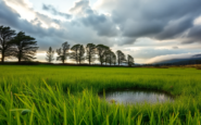 northern ireland braces for storm floris what to expect python 1754133315
