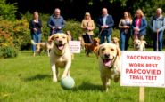 parvovirus outbreak in north wales critical warnings for dog owners python 1756409798
