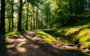 the surprising mental health benefits of spending time outdoors python 1754784232