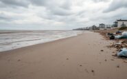 decline of burnham on sea pollution and community concerns python 1756935506