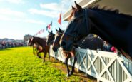 excitement builds as leopardstown hosts irish champions festival python 1757720131
