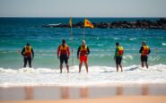 fatal shark attack at long reef beach what we know python 1757145141