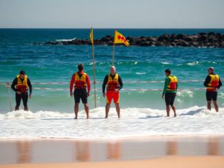 fatal shark attack at long reef beach what we know python 1757145141