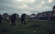 search continues for missing boy in north dublin python 1756990775