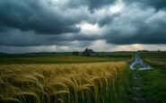 thunderstorms and heavy rains forecasted for england python 1756994428