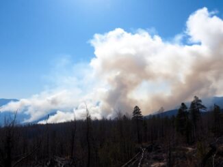 understanding the far reaching impact of wildfires on air quality python 1757056716