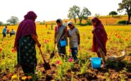 empowering communities for lasting sustainable change 1761801295