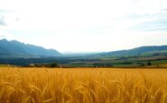 exploring the uks stunning and diverse landscapes a comprehensive guide 1760228164