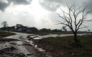 global impact of natural disasters insights from pakistan and india 1760637108