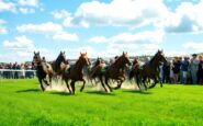 must attend irish horse racing events to mark in your 2026 calendar 1761773274