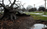 severe storm causes widespread power outages in the midwest 1761568020