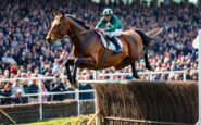 stumptown makes history with velka pardubicka win for irish training team 1760433857