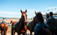 thrilling irish horse contingent set to shine at the 2025 breeders cup 1761947810