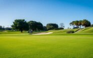 tiger woods undergoes back surgery what it means for his comeback 1760264802
