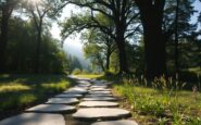 transform your life with mindful living strategies 1760400714
