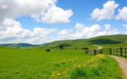 comprehensive guide to irish point to point race schedule for spring 2025 26 1763028817