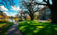 discover cardiffs stunning parks for ultimate relaxation and recreation 1762016703