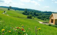 integrating nature recovery and economic growth natural englands strategic approach 1762517050