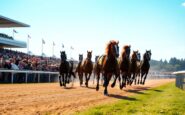 marlborough racing todays top insights and winning bets 1762869514
