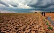 new research shows alarming effects of climate change on agriculture 1763118054